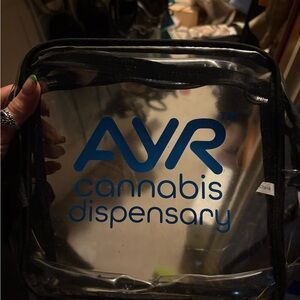 Clear Ayer Accessory Bag